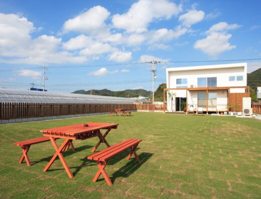 Dog and Sea Home