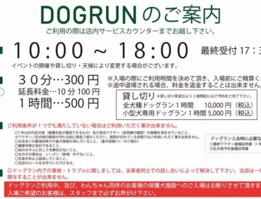 アシスト南国