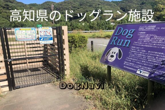 高知県のおすすめドッグラン一覧
