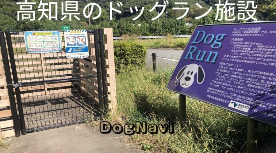 高知県のおすすめドッグラン一覧