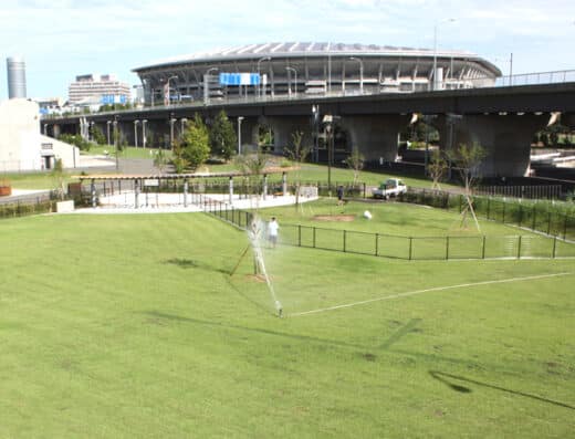 新横浜公園ドッグラン