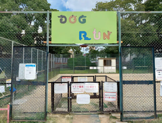 住之江公園ドッグラン