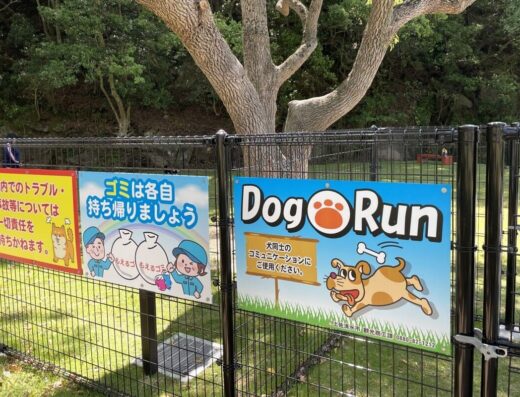 ぐるっと竜串ウエストパーク ドッグラン