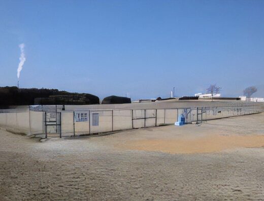 海とのふれあい広場　ドッグラン
